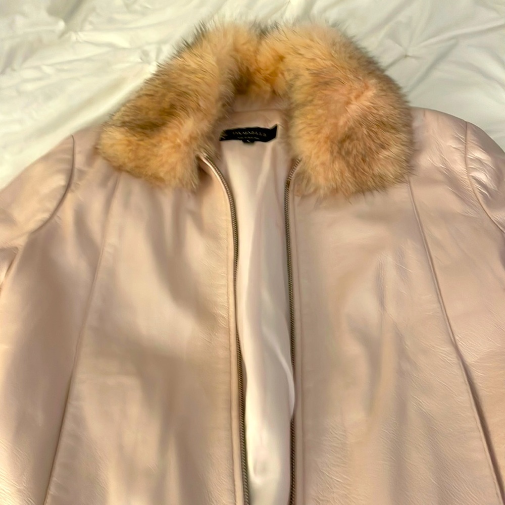 Detachable collar